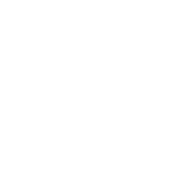 VoIP