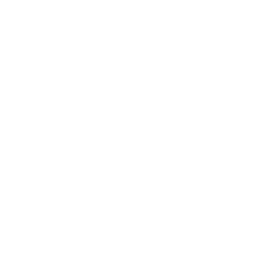 Pixelated black and white icons of a flower, two cakes, and a clock in a grid layout.